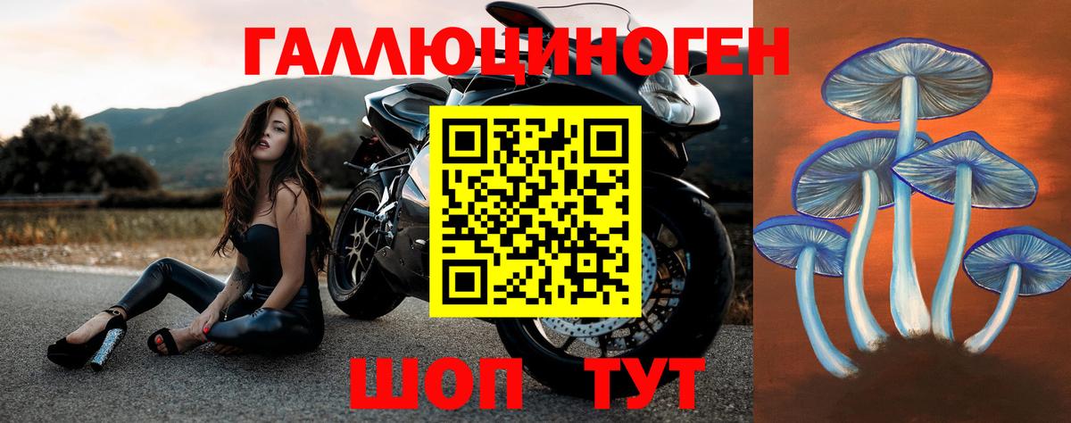 Галлюциногенные грибы MAGIC MUSHROOMS  Вход с VPN  Лесной 